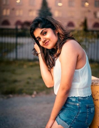 chandigarh escorts service